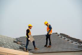 Roof Moss and Algae Removal